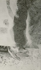 Panatomic Giusti