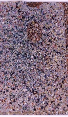 Protopalette 4